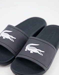 Темно-синие шлепанцы Lacoste Croco-Темно-синий
