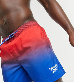 Шорты для плавания темно-синего и красного цвета Reebok-Многоцветный