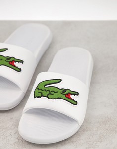 Белые шлепанцы с большим логотипом Lacoste-Белый