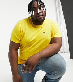 Желтая футболка из хлопка пима с логотипом Lacoste-Желтый