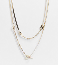 Золотистое многоярусное ожерелье с плетением «в елочку» и цепочкой со звеньями-петельками ASOS DESIGN Curve-Золотистый