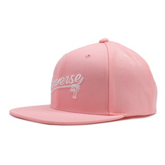 Converse Graphic Snapback Mfs