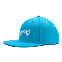 Converse Graphic Snapback Mfs