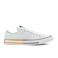 Converse Chuck Taylor All Star Happy Camper Low Top