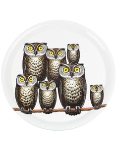 Fornasetti поднос Owl
