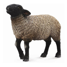 Фигурка Collecta Овца Суффолк (M)
