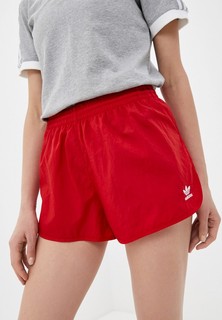 Шорты спортивные adidas Originals