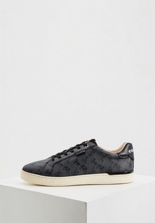 Кеды Coach