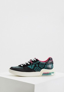 Кеды Coach