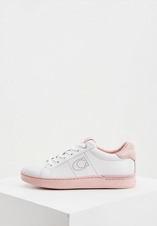 Кеды Coach