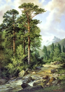 Картина по номерам , Дикая природа - размер 40х50см Paintboy