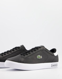Черные кроссовки Lacoste court court-Черный цвет