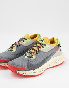 Серые кроссовки Nike Running Pegasus Trail 2 Gortex-Серый