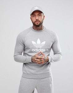 Серовато-фиолетовый свитшот с большим логотипом-трилистником adidas Originals-Серый