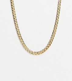 Ожерелье-цепочка с крупными звеньями толщиной 10 мм и покрытием из 14-каратного золота ASOS DESIGN Curve-Золотистый