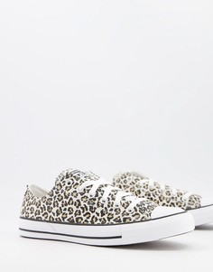 Черные кеды с гепардовым принтом Converse Chuck Taylor All Star Ox Archive Print Cheetah-Черный цвет