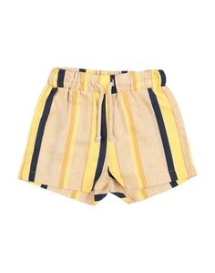 Бермуды THE NEW Society