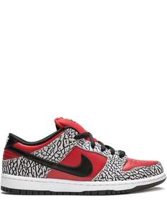 Nike кроссовки Dunk Low Premium SB