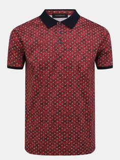 Alessandro Manzoni Поло