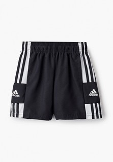 Шорты спортивные adidas