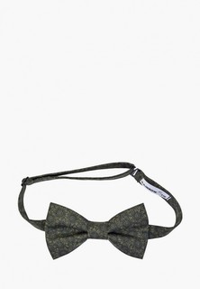 Бабочка Rainbowtie