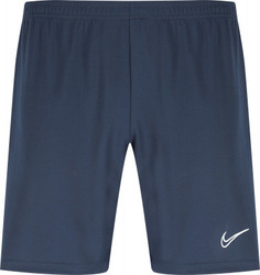 Шорты мужские Nike Dri-FIT Academy, размер 52-54