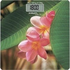 Весы Scarlett SC-BS33E040