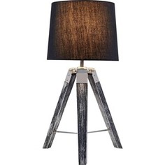 Настольная лампа Lussole Lgo Amistad LSP-0555