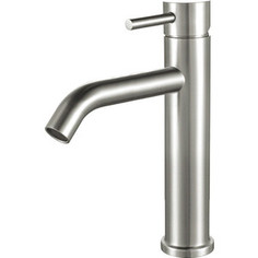 Смеситель для раковины Aquanet AF210-10S Steel (242966)