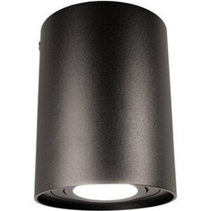 Светильник Lumina Deco Потолочный Balston LDC 8055-A JP-D95*H123 BK
