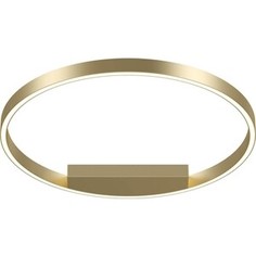 Светильник Maytoni Потолочный светодиодный Rim MOD058CL-L35BS4K