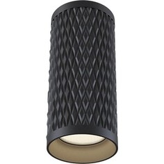 Светильник Maytoni Потолочный Alfa C036CL-01B