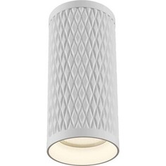 Светильник Maytoni Потолочный Alfa C036CL-01W