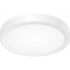 Светильник Citilux Потолочный светодиодный Бейсик CL738120N
