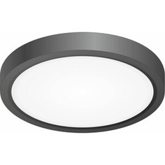Светильник Citilux Потолочный светодиодный Бейсик CL738121N