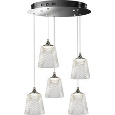 Люстра iLedex Подвесная светодиодная Flora WD8007-5 CR