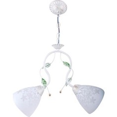 Люстра Hiper Подвесная Modern H137-2