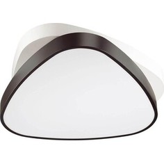 Светильник Lumion Потолочный светодиодный Agatha 4510/72CL