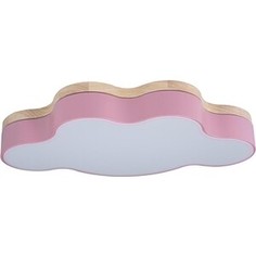 Светильник Loft IT Потолочный светодиодный Axel 10005/30 pink