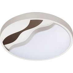 Светильник Lumion Потолочный светодиодный Nalu 4499/72CL