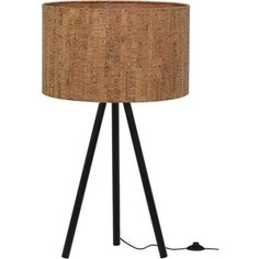 Настольная лампа Loft IT Nordic 1700-TBK+SC