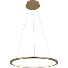 Светильник Loft IT Подвесной светодиодный Ring 10014M