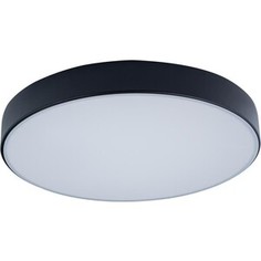 Светильник Loft IT Потолочный светодиодный Axel 10002/24 black