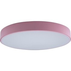 Светильник Loft IT Потолочный светодиодный Axel 10002/24 pink