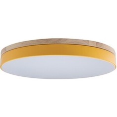 Светильник Loft IT Потолочный светодиодный Axel 10001/36 yellow