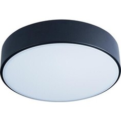 Светильник Loft IT Потолочный светодиодный Axel 10002/12 black