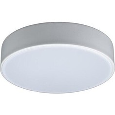Светильник Loft IT Потолочный светодиодный Axel 10002/12 white