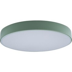 Светильник Loft IT Потолочный светодиодный Axel 10002/24 green