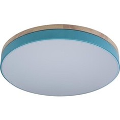 Светильник Loft IT Потолочный светодиодный Axel 10001/36 blue