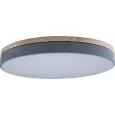 Светильник Loft IT Потолочный светодиодный Axel 10001/36 grey